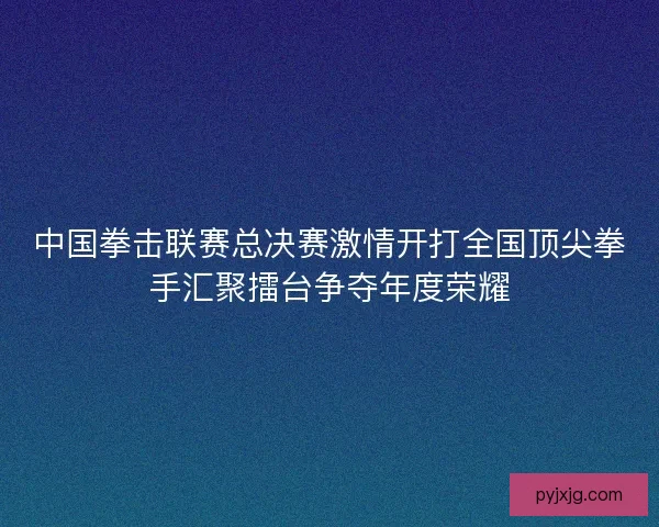 中国拳击联赛总决赛激情开打全国顶尖拳手汇聚擂台争夺年度荣耀